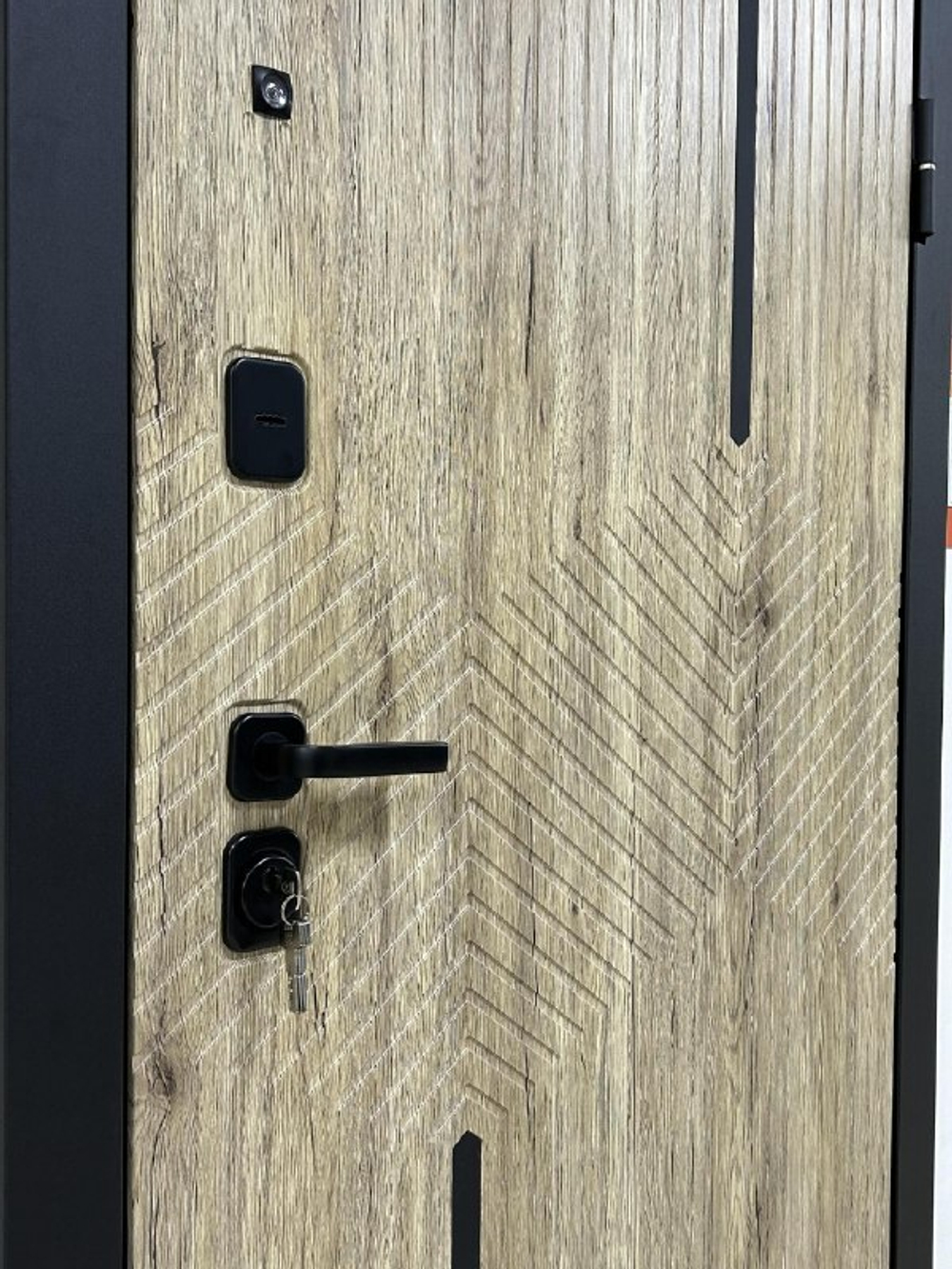 Дверь входная Деус