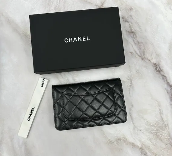 Классическая сумка-кошелек на цепочке Chanel Wallet On A Chain