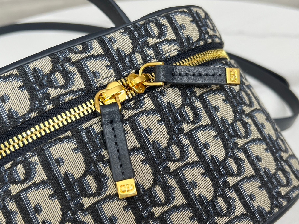 Christian Dior Small CD Signature Vanity Case