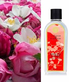 Аромат для ламп Зимняя роза и Жасмин Life In Bloom, Ashleigh & Burwood