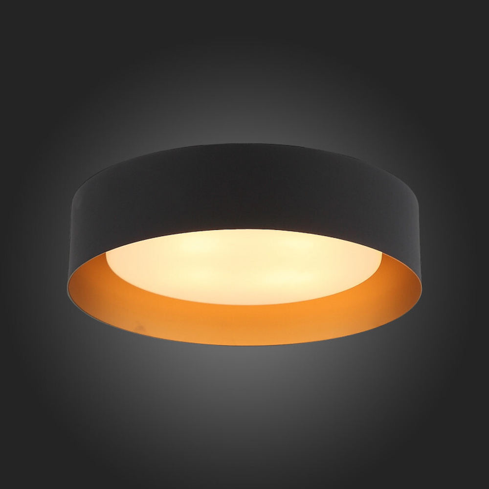 Накладной светильник ST-Luce SL392.422.04