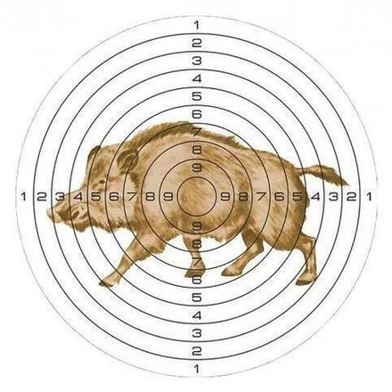 Мишень бумажная Стикхант Кабан 140x140 мм