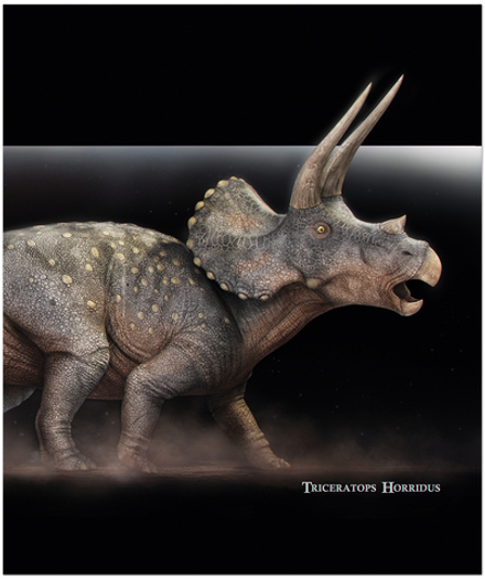 Тетрадь общая 48 листов на скрепке "Динозавры"