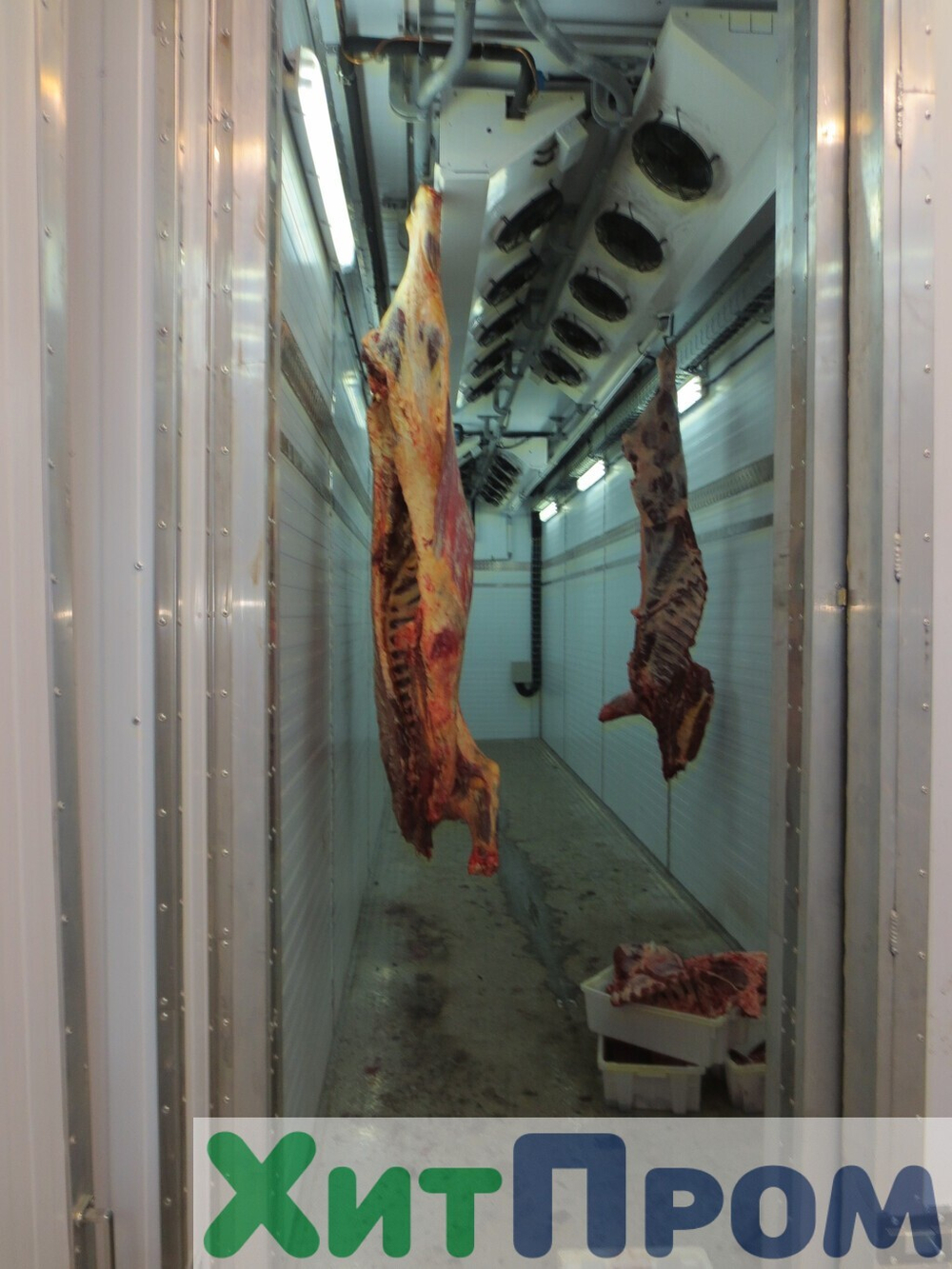 Линия убоя КРС 40 голов/смена с охлаждением и шоковой заморозкой. р. Казахстан