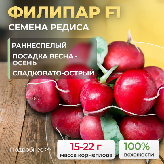 ФИЛИПАР_F1_семена_редиса_Syngenta_оптом_семена – фото 1
