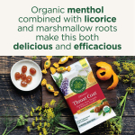 Traditional Medicinals, Organic Throat Coat®, сладкий апельсин и фенхель, 16 леденцов от кашля с ментолом