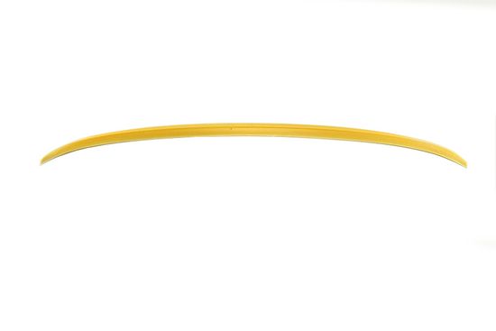 Спойлер V.2 для BMW 5 G30 G38 2017+ Sedan