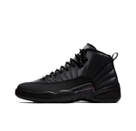 Кроссовки Air Jordan 12 Retro Winterized 'Triple Black' BQ6851-001