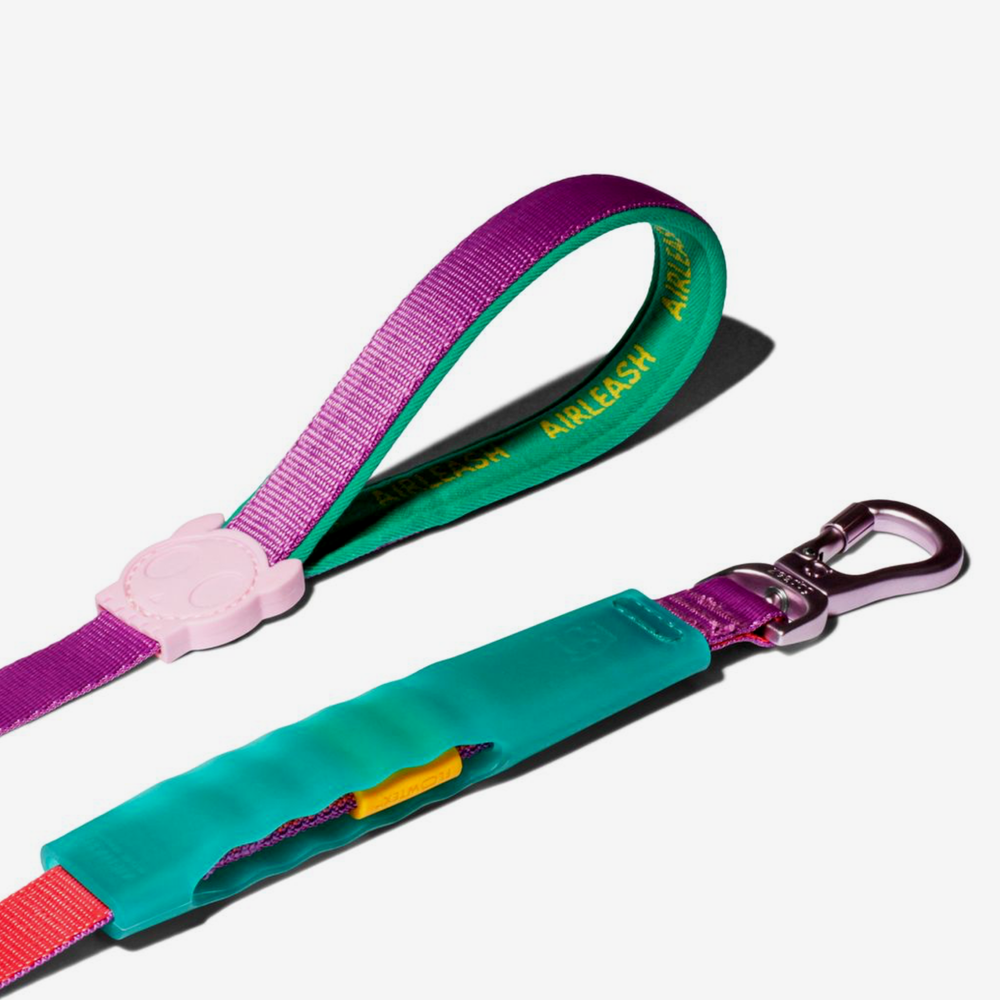 Амортизирующий поводок Air Cali Dos 150 см Zee.Dog