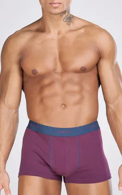 Мужские трусы R-75 Бордовый