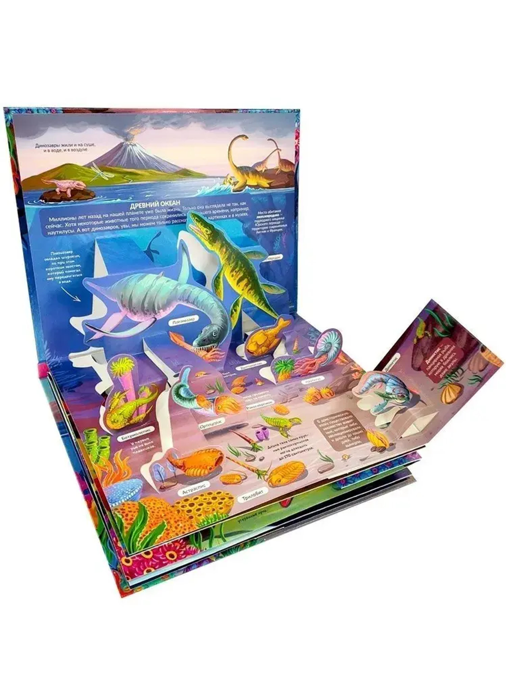 POP UP энциклопедия