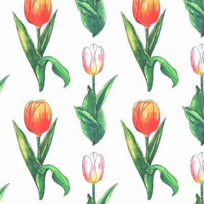 Красные и розовые тюльпаны