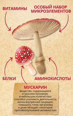 Batel. Средство косметическое для ухода за кожей. Вытяжка мухомора красного в креме для костей и суставов