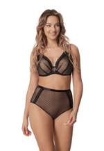 Трусики-слипы Renee с завышенной линией талии (Размер: L) (Цвет: черный с бежевым)