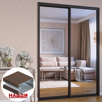 Дверь-купе NAIDY П, зеркало, профиль венге