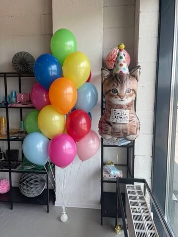 Фонтан воздушных шаров и фигура котенок в колпаке