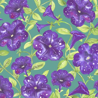 Акварельные петунии Ночное небо на зеленом