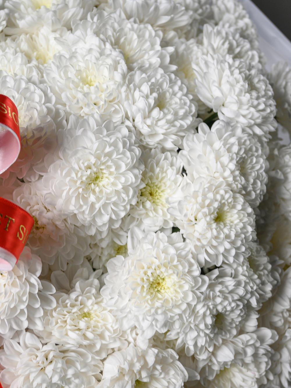 Облако любви 25 *