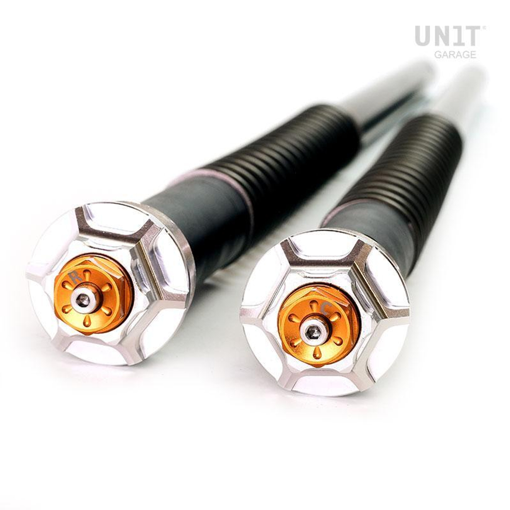 Ohlins Картридж вилки Triumph Speed Twin / Street Twin 900 105_T07E