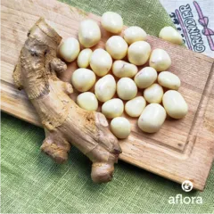 Имбирь в шоколаде белом / 100 гр Имбирь в шоколаде белом / 100 гр