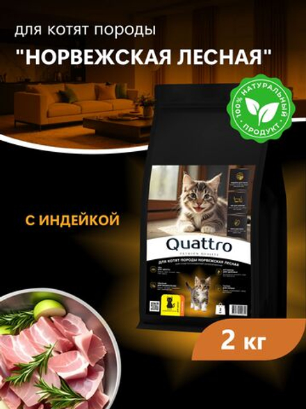 Корм сухой для котят породы Норвежская лесная, с индейкой, 2кг, QUATTRO