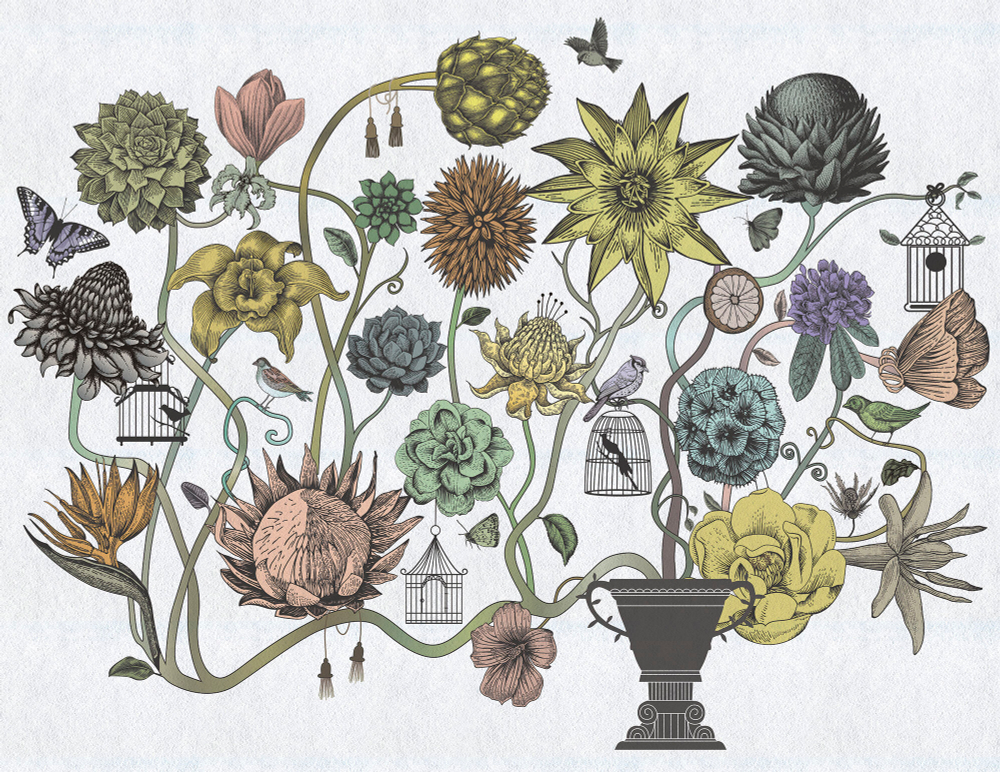 Коллекция Grafika Natura