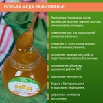 Мед алтайский липовый