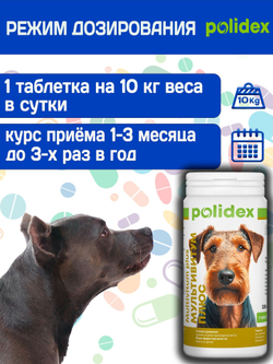 Polidex Multivitum Plus для собак для профилактики нарушений обмена веществ, витаминной и минеральной недостаточности, улучшения внешнего вида у собак Полидекс Мультивитум Плюс, 150таб