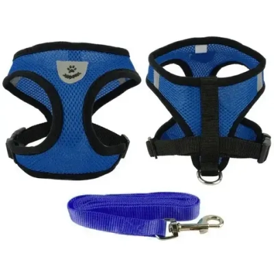 Шлейка с поводком 118см «Sweet puppy» размер L, цвет голубой