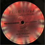 Pink Floyd / Delicate Sound Of Thunder (2LP)