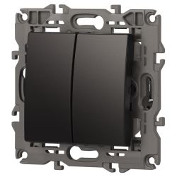 Выключатель ЭРА Elegance 14-1104-05 двойной 10АХ-250В IP20 антрацит