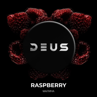 Купить Табак DEUS - Raspberry 20 г