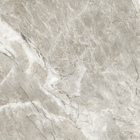LCM Amberstone Beige 80x80