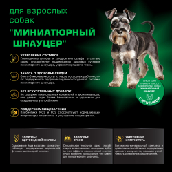 Корм сухой для взрослых собак породы Миниатюрный Шнауцер, с ягненком, 2,5 кг, QUATTRO
