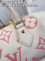 Louis Vuitton Speedy 20