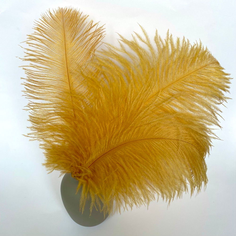 Перо страуса золотое 30 - 35 см.