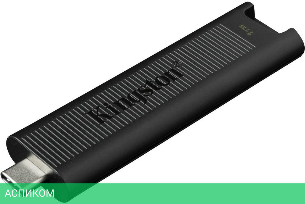 USB Flash-накопитель Kingston DataTraveler Max 1TB черный (DTMAX/1TB)