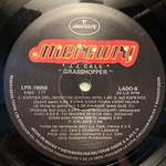 J.J. Cale - Grasshopper (Мексика 1985г.)