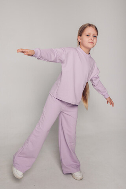 Спортивный костюм 3730/6 сирень 2х/н (кл)