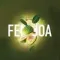 Must Have - Feijoa (125г)