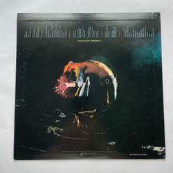 Винтажная виниловая пластинка LP Van Halen (Япония 1978) (Без Оби)