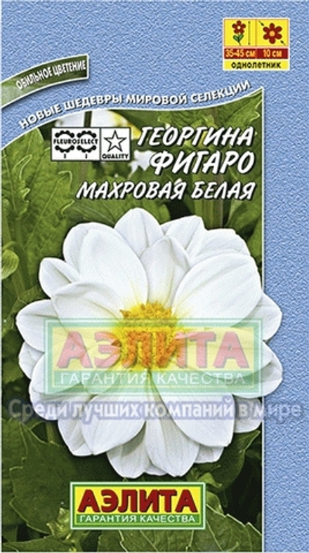 Георгина Фигаро белый махр. 7шт Аэлита