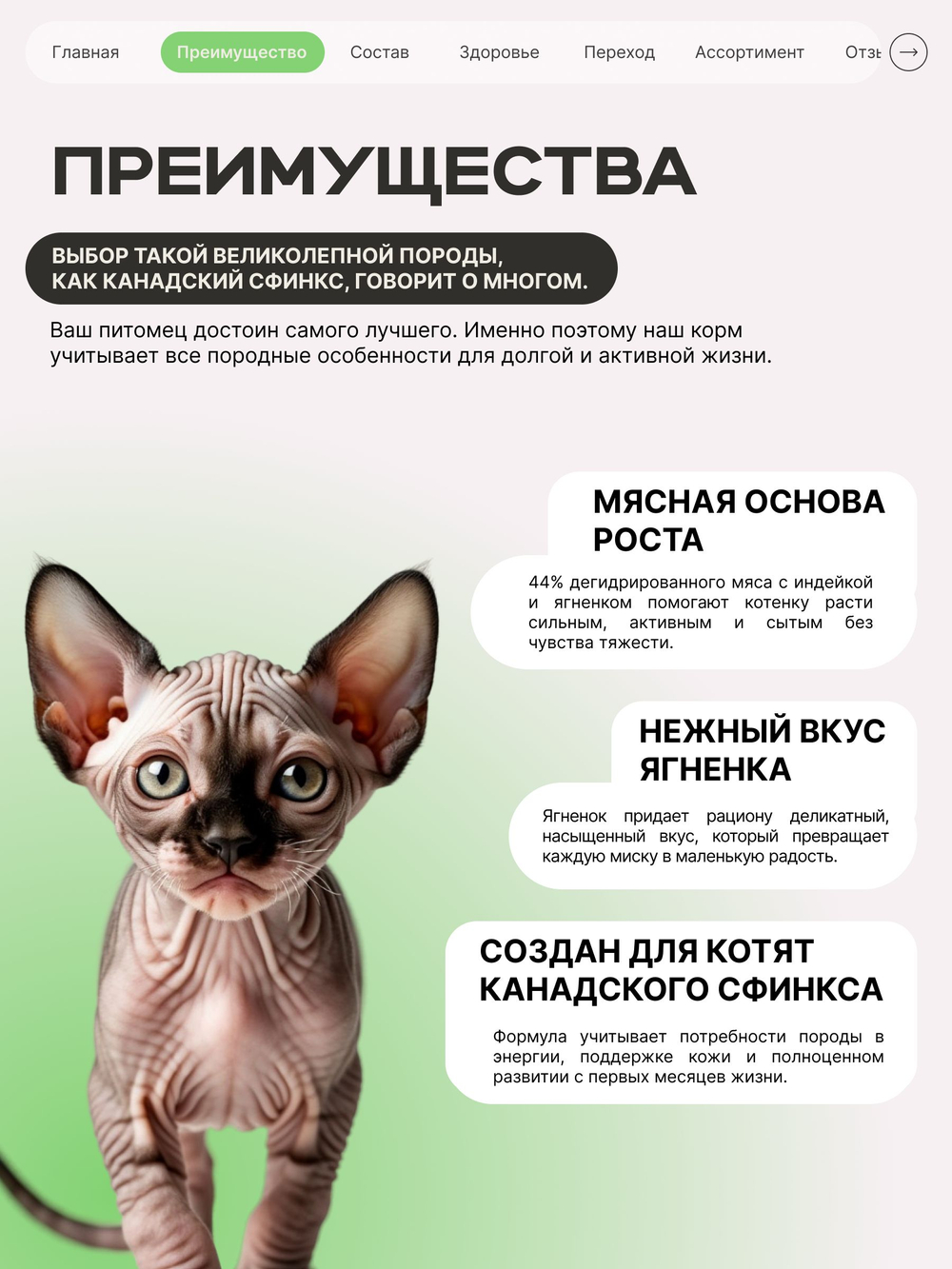 Корм сухой для котят породы Канадский сфинкс, с ягненком, 2 кг, QUATTRO