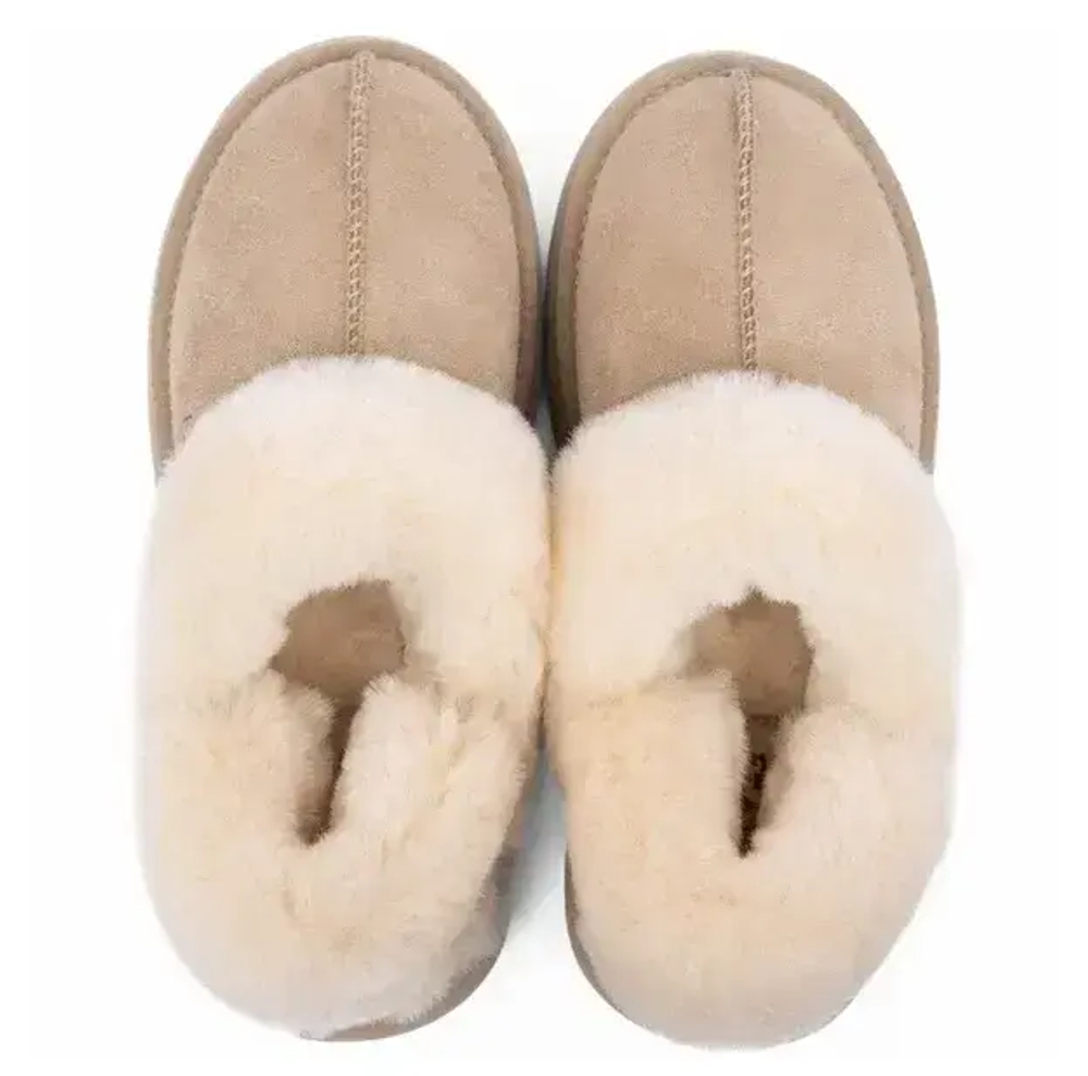 Ugg Slippers Disquette Sand