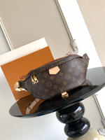 Louis Vuitton Bumbag