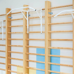 Стенка шведская, гимнастическая (в разобранном виде) массив 150 мм, 2,6х0,6 м ZAVODSPORTA