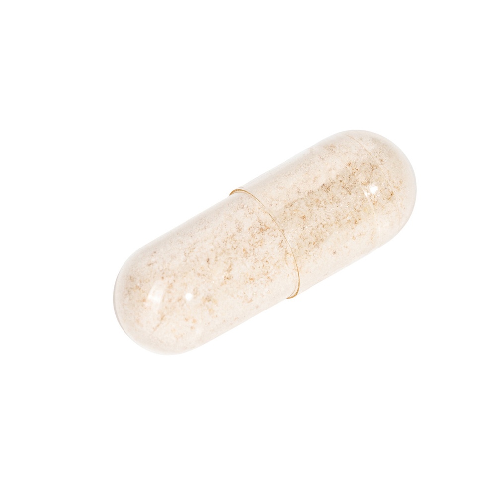 Ежовик гребенчатый