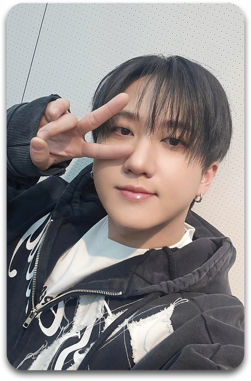 Карта / STRAY KIDS #2190