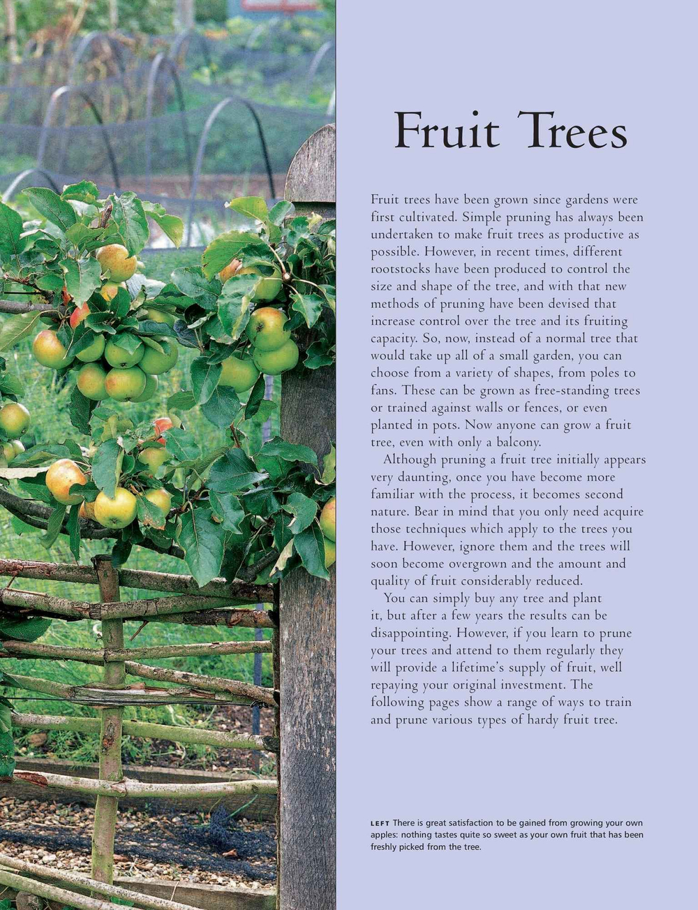 Practical Guide to Pruning, Training and Topiary