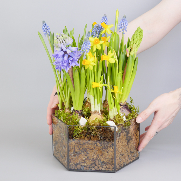 Композиция с первоцветами Весенний микс